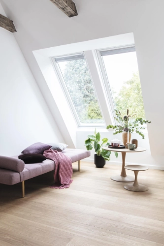 Création & Installation VELUX